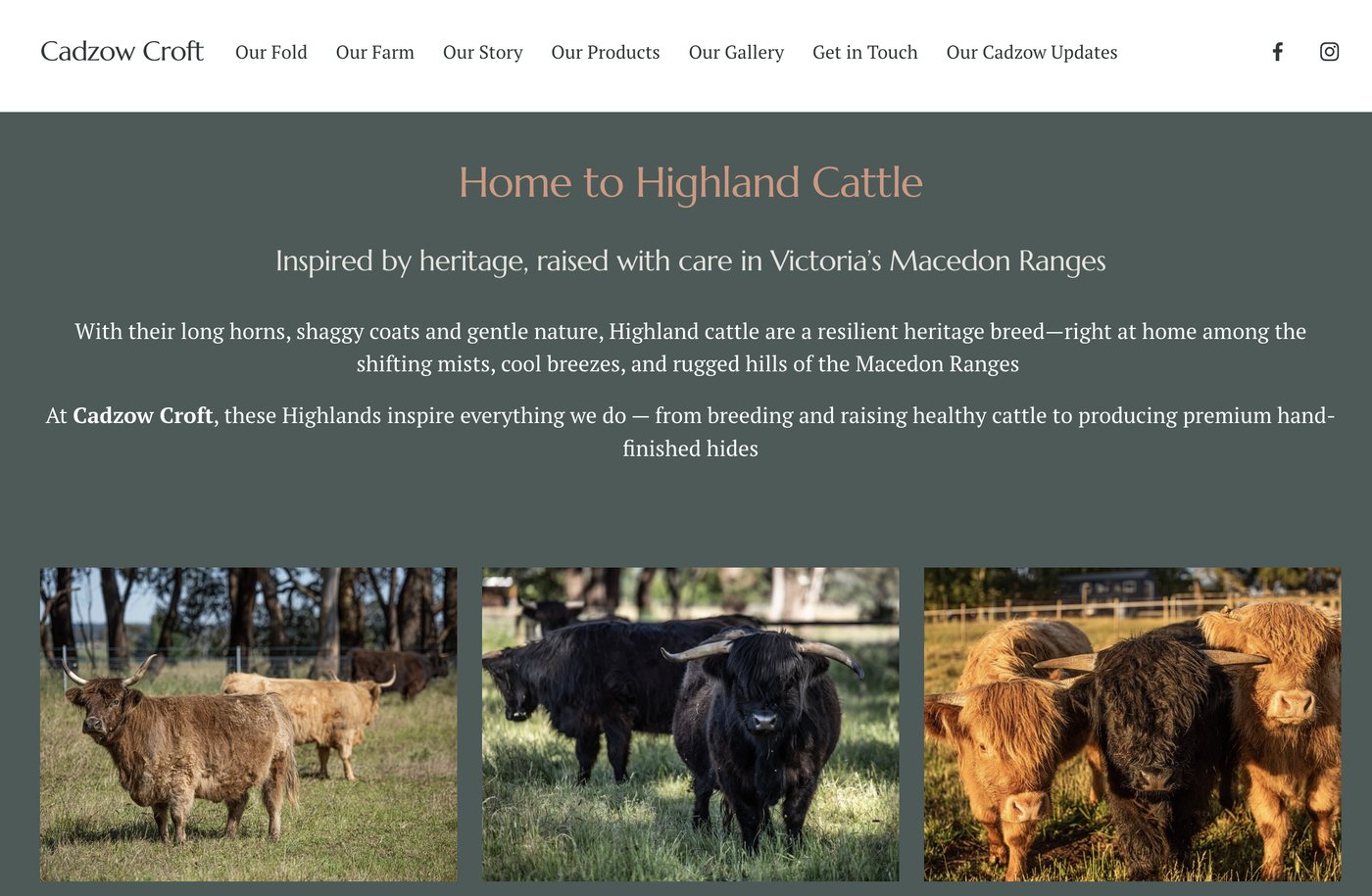 Cadzow Croft homepage, 'Home to Highland Cattle' hero with farm navigation and photos of Highland cattle